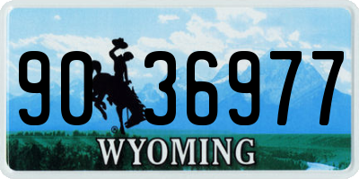 WY license plate 9036977