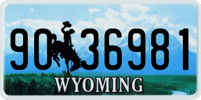 WY license plate 9036981