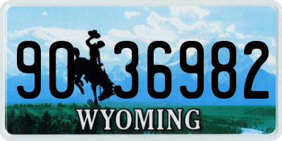 WY license plate 9036982