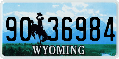 WY license plate 9036984