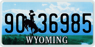 WY license plate 9036985
