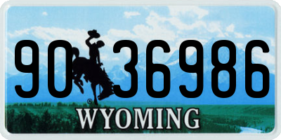 WY license plate 9036986