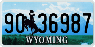 WY license plate 9036987