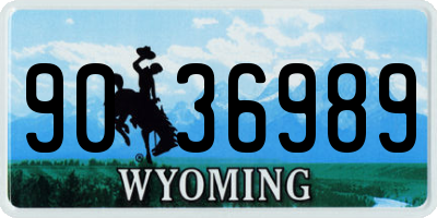 WY license plate 9036989
