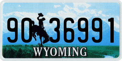 WY license plate 9036991