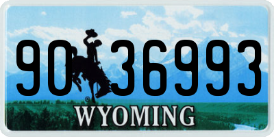 WY license plate 9036993