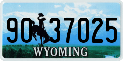 WY license plate 9037025