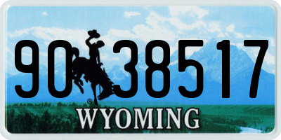 WY license plate 9038517