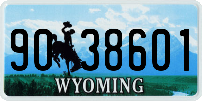 WY license plate 9038601
