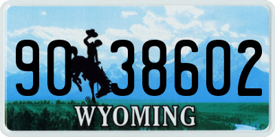WY license plate 9038602