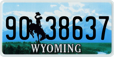 WY license plate 9038637