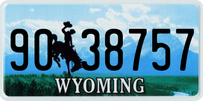 WY license plate 9038757