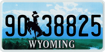 WY license plate 9038825