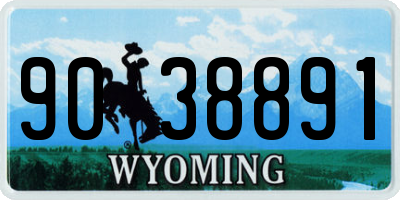 WY license plate 9038891