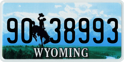 WY license plate 9038993