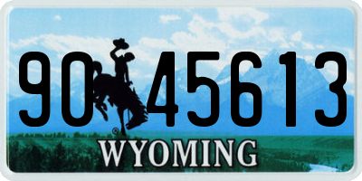 WY license plate 9045613