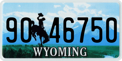 WY license plate 9046750