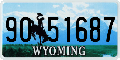 WY license plate 9051687