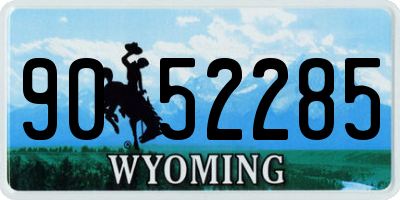 WY license plate 9052285