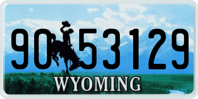 WY license plate 9053129