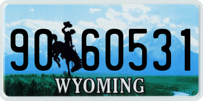 WY license plate 9060531