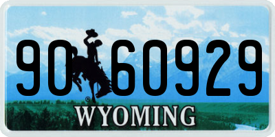 WY license plate 9060929