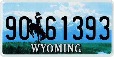 WY license plate 9061393
