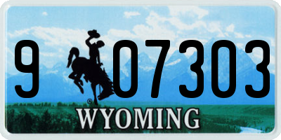 WY license plate 907303