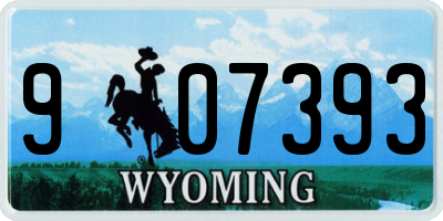 WY license plate 907393