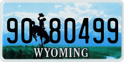 WY license plate 9080499