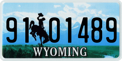 WY license plate 9101489