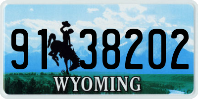 WY license plate 9138202