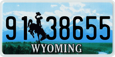 WY license plate 9138655