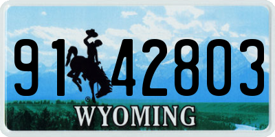 WY license plate 9142803