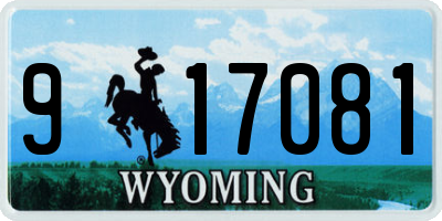 WY license plate 917081