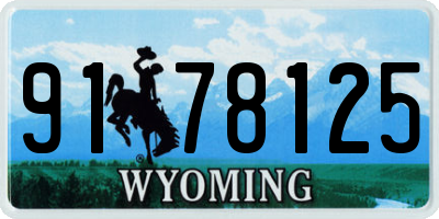 WY license plate 9178125