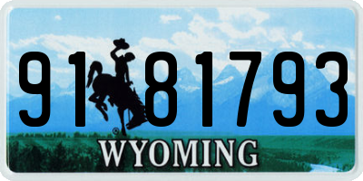 WY license plate 9181793