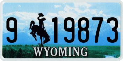 WY license plate 919873