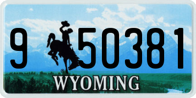 WY license plate 950381