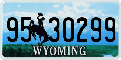 WY license plate 9530299