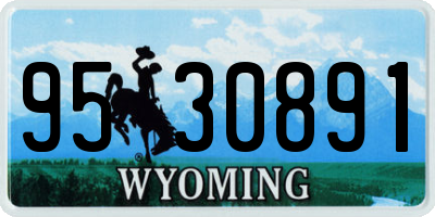 WY license plate 9530891