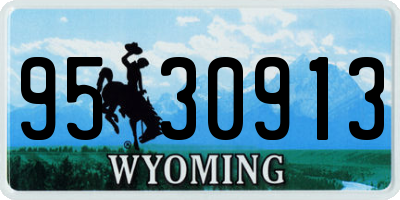 WY license plate 9530913