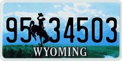 WY license plate 9534503