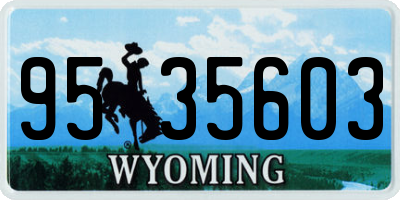 WY license plate 9535603