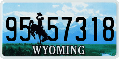 WY license plate 9557318