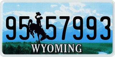 WY license plate 9557993