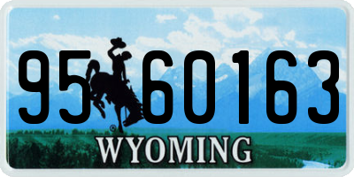 WY license plate 9560163