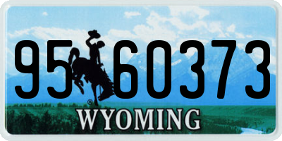 WY license plate 9560373