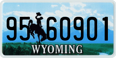 WY license plate 9560901