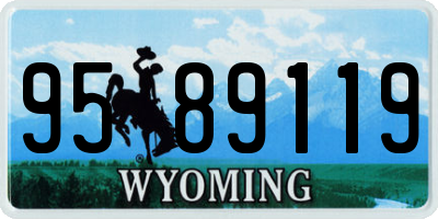 WY license plate 9589119